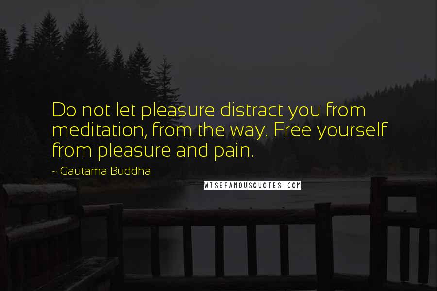 Gautama Buddha Quotes: Do not let pleasure distract you from meditation, from the way. Free yourself from pleasure and pain.