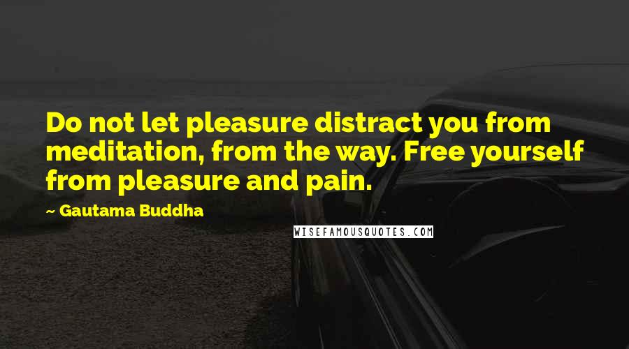 Gautama Buddha Quotes: Do not let pleasure distract you from meditation, from the way. Free yourself from pleasure and pain.