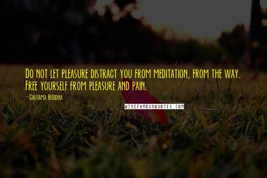Gautama Buddha Quotes: Do not let pleasure distract you from meditation, from the way. Free yourself from pleasure and pain.