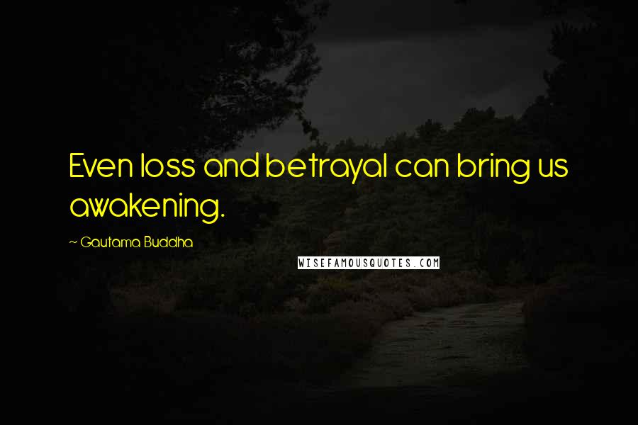 Gautama Buddha Quotes: Even loss and betrayal can bring us awakening.