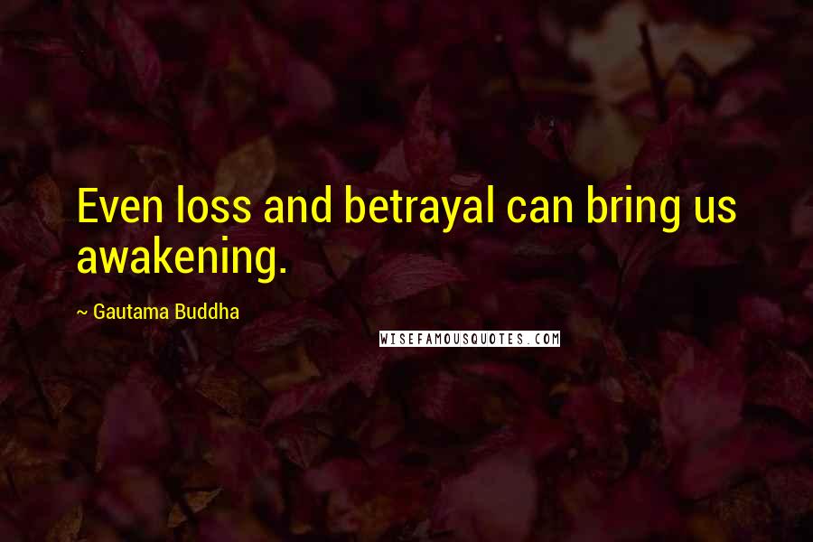 Gautama Buddha Quotes: Even loss and betrayal can bring us awakening.