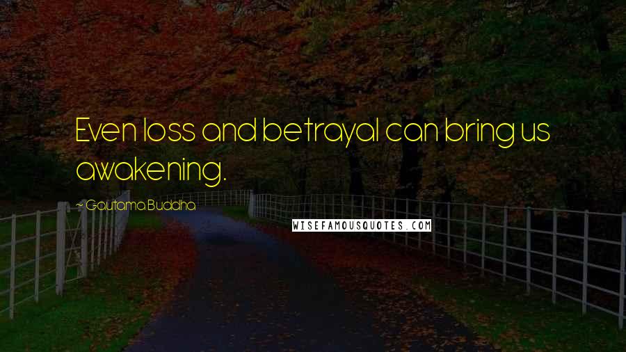 Gautama Buddha Quotes: Even loss and betrayal can bring us awakening.