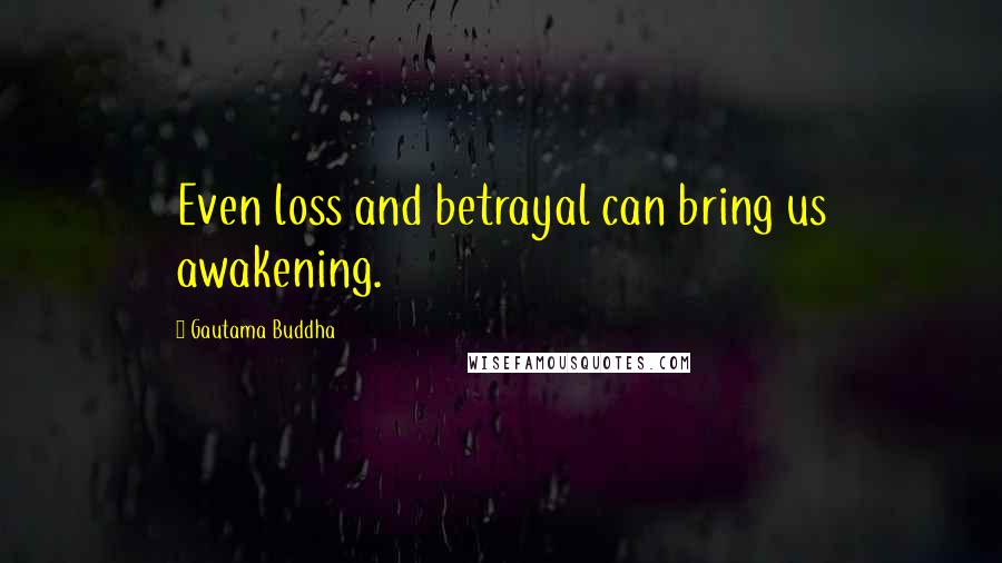 Gautama Buddha Quotes: Even loss and betrayal can bring us awakening.