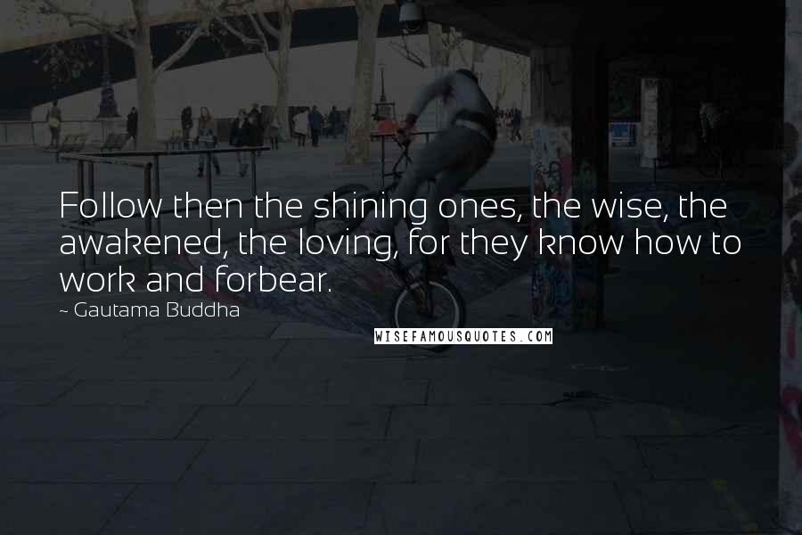 Gautama Buddha Quotes: Follow then the shining ones, the wise, the awakened, the loving, for they know how to work and forbear.
