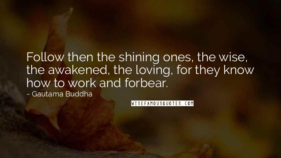 Gautama Buddha Quotes: Follow then the shining ones, the wise, the awakened, the loving, for they know how to work and forbear.