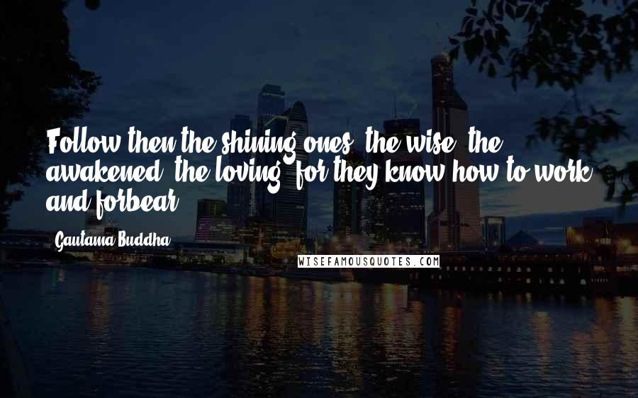 Gautama Buddha Quotes: Follow then the shining ones, the wise, the awakened, the loving, for they know how to work and forbear.