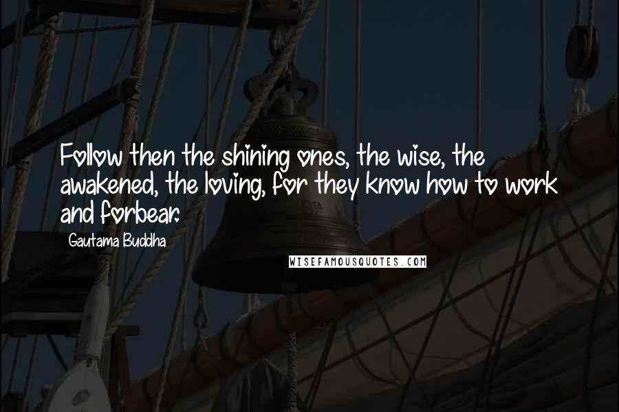 Gautama Buddha Quotes: Follow then the shining ones, the wise, the awakened, the loving, for they know how to work and forbear.