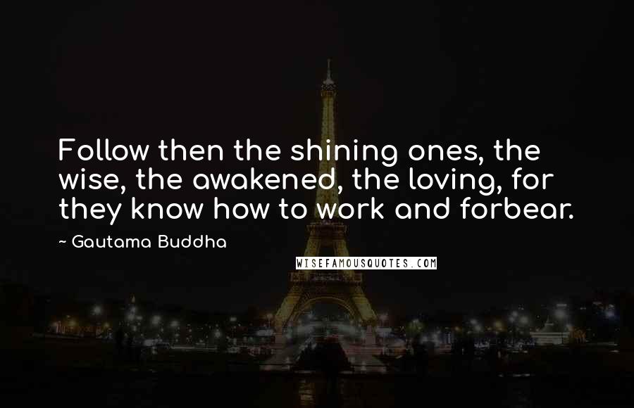 Gautama Buddha Quotes: Follow then the shining ones, the wise, the awakened, the loving, for they know how to work and forbear.