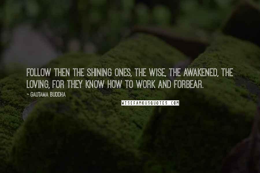 Gautama Buddha Quotes: Follow then the shining ones, the wise, the awakened, the loving, for they know how to work and forbear.