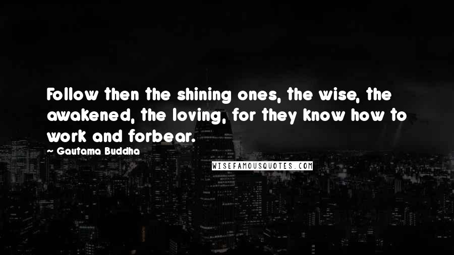 Gautama Buddha Quotes: Follow then the shining ones, the wise, the awakened, the loving, for they know how to work and forbear.