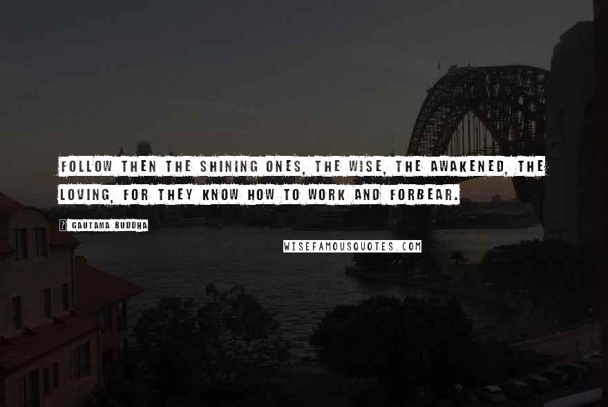 Gautama Buddha Quotes: Follow then the shining ones, the wise, the awakened, the loving, for they know how to work and forbear.