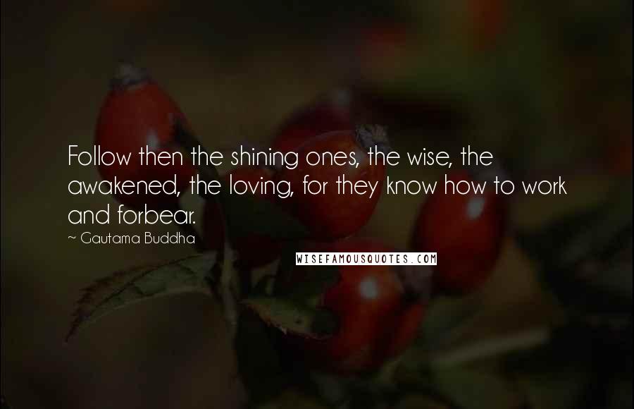 Gautama Buddha Quotes: Follow then the shining ones, the wise, the awakened, the loving, for they know how to work and forbear.