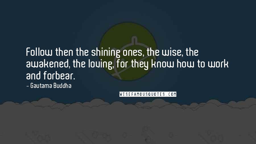 Gautama Buddha Quotes: Follow then the shining ones, the wise, the awakened, the loving, for they know how to work and forbear.