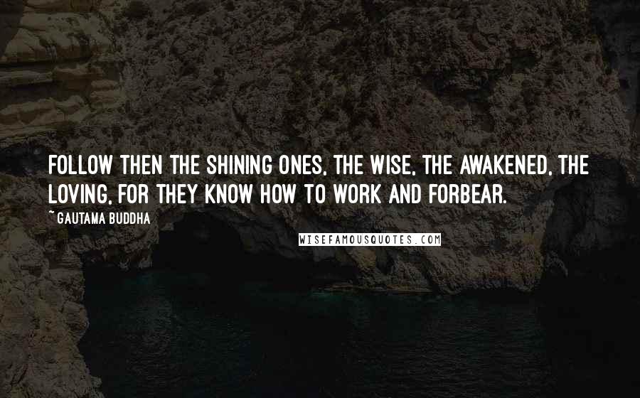 Gautama Buddha Quotes: Follow then the shining ones, the wise, the awakened, the loving, for they know how to work and forbear.