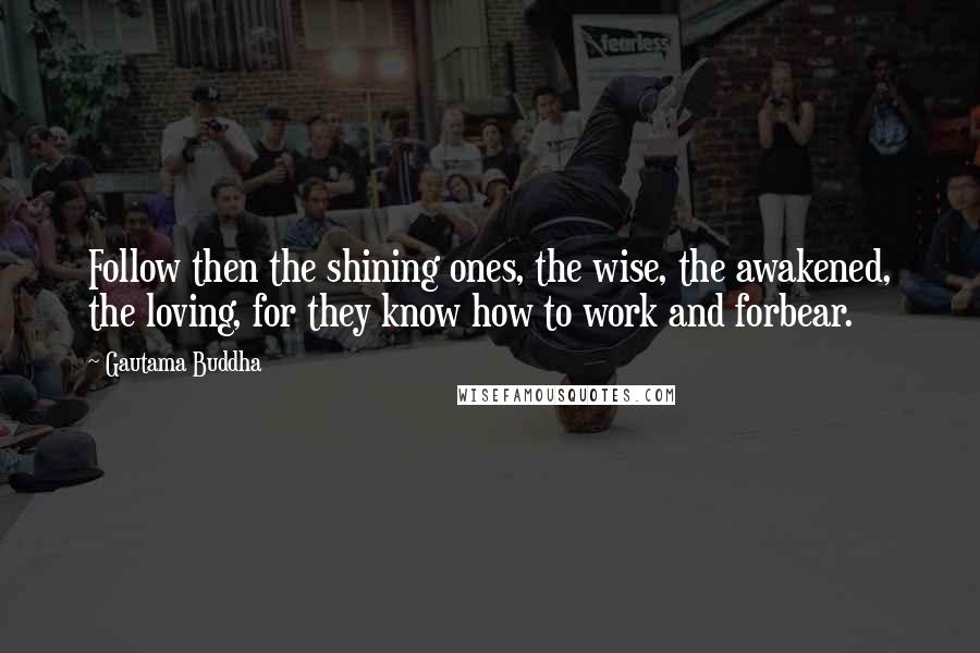 Gautama Buddha Quotes: Follow then the shining ones, the wise, the awakened, the loving, for they know how to work and forbear.