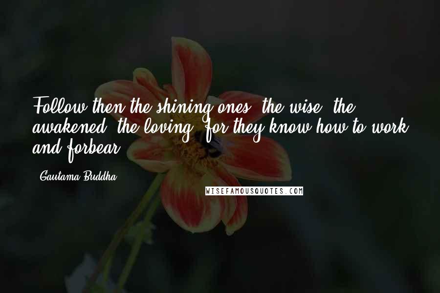 Gautama Buddha Quotes: Follow then the shining ones, the wise, the awakened, the loving, for they know how to work and forbear.