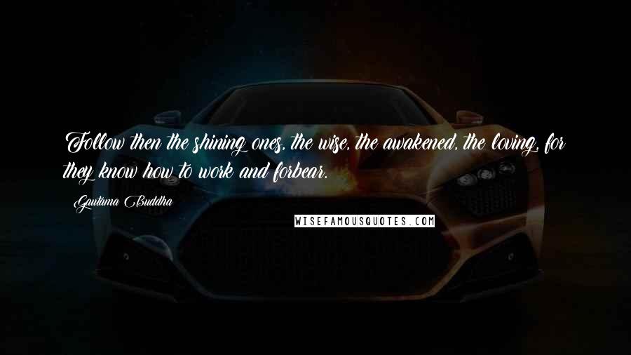 Gautama Buddha Quotes: Follow then the shining ones, the wise, the awakened, the loving, for they know how to work and forbear.