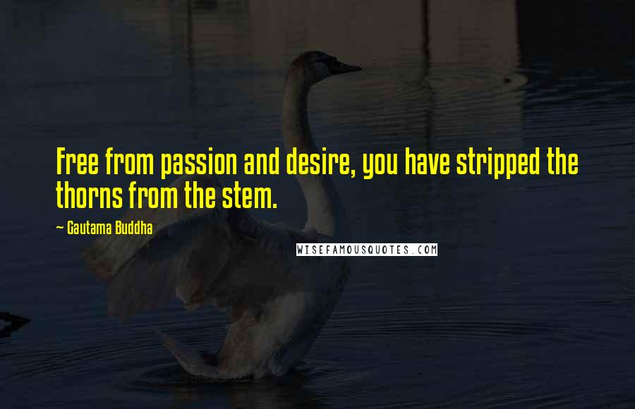 Gautama Buddha Quotes: Free from passion and desire, you have stripped the thorns from the stem.