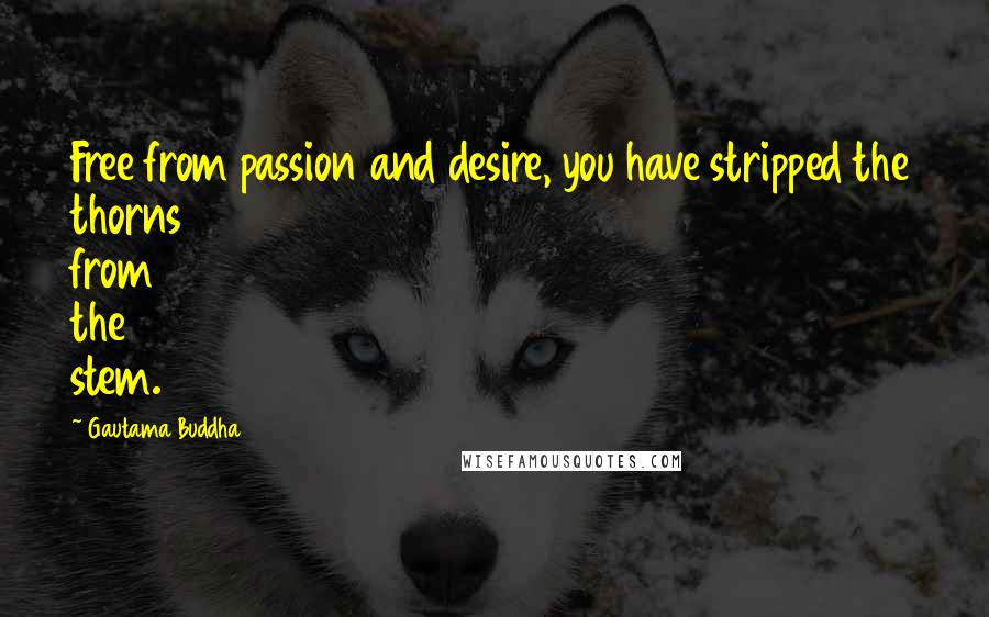 Gautama Buddha Quotes: Free from passion and desire, you have stripped the thorns from the stem.