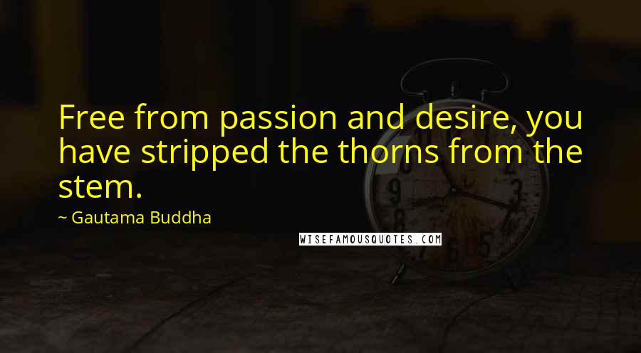 Gautama Buddha Quotes: Free from passion and desire, you have stripped the thorns from the stem.