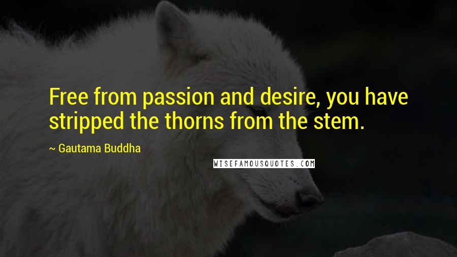 Gautama Buddha Quotes: Free from passion and desire, you have stripped the thorns from the stem.