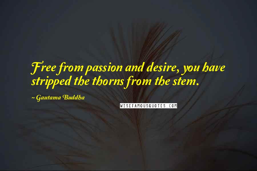 Gautama Buddha Quotes: Free from passion and desire, you have stripped the thorns from the stem.