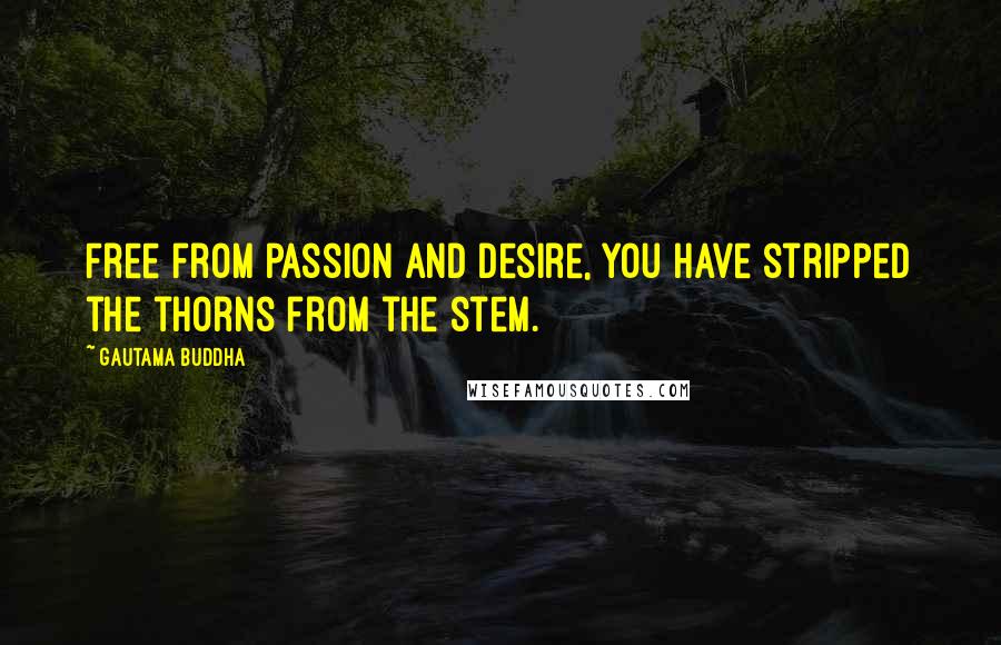 Gautama Buddha Quotes: Free from passion and desire, you have stripped the thorns from the stem.