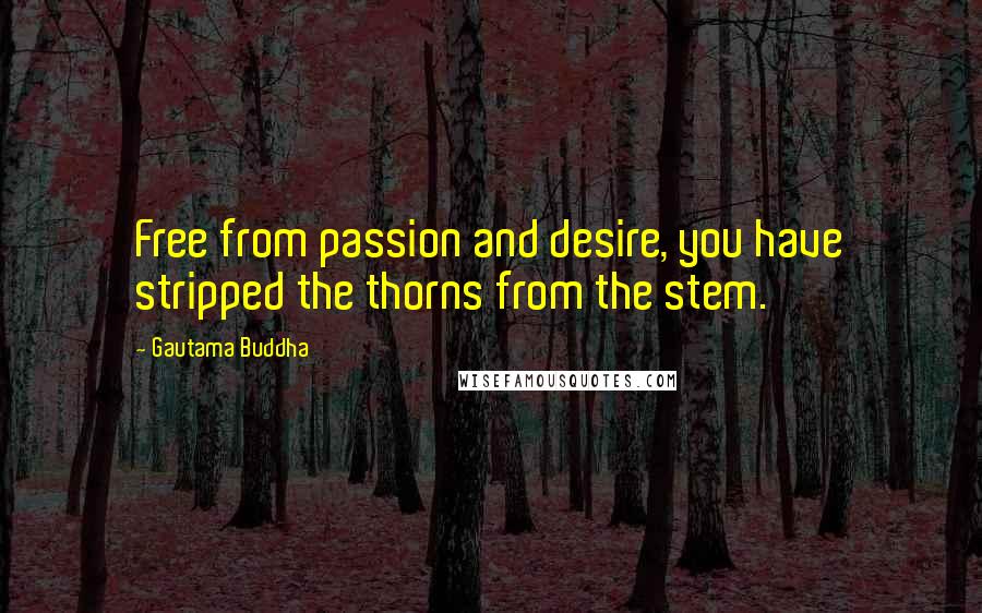 Gautama Buddha Quotes: Free from passion and desire, you have stripped the thorns from the stem.