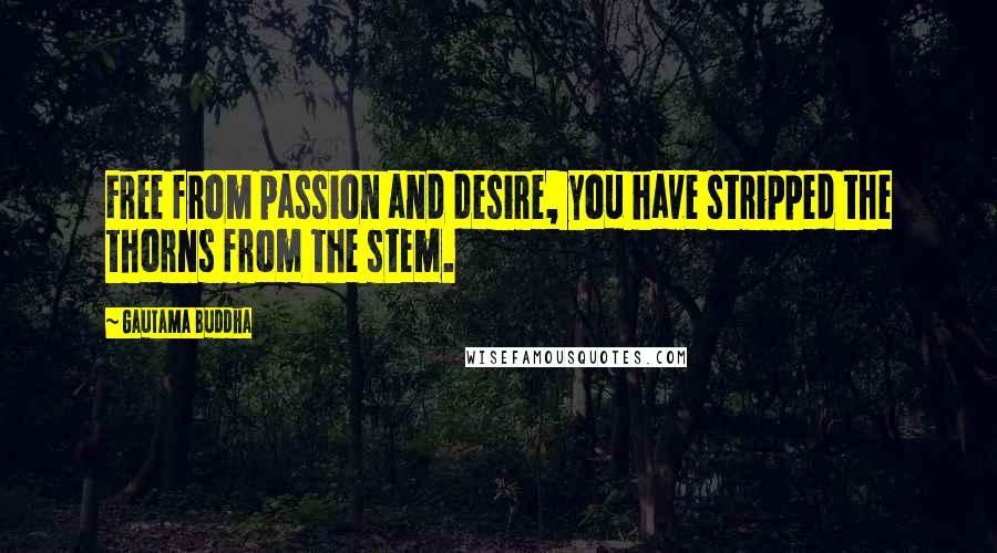 Gautama Buddha Quotes: Free from passion and desire, you have stripped the thorns from the stem.