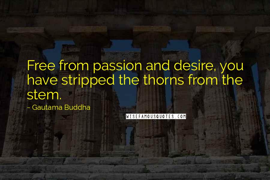 Gautama Buddha Quotes: Free from passion and desire, you have stripped the thorns from the stem.