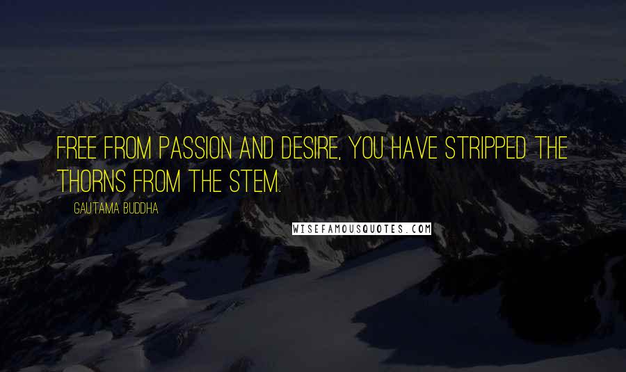 Gautama Buddha Quotes: Free from passion and desire, you have stripped the thorns from the stem.