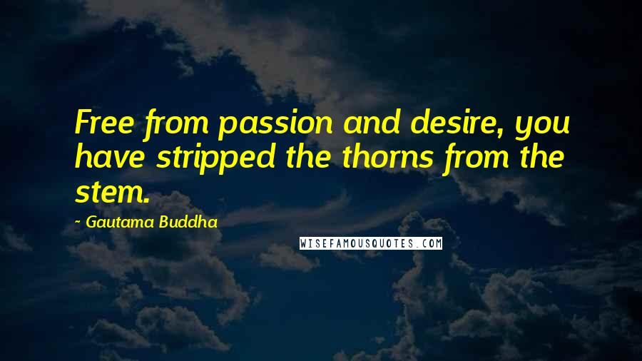 Gautama Buddha Quotes: Free from passion and desire, you have stripped the thorns from the stem.