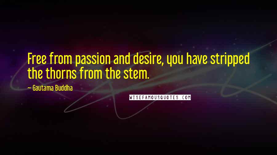 Gautama Buddha Quotes: Free from passion and desire, you have stripped the thorns from the stem.