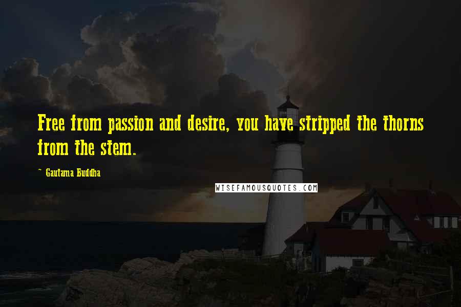 Gautama Buddha Quotes: Free from passion and desire, you have stripped the thorns from the stem.