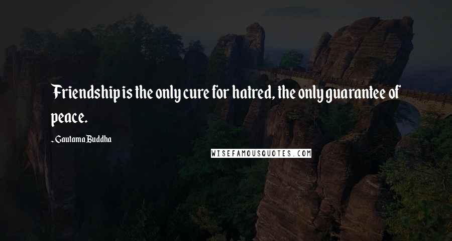 Gautama Buddha Quotes: Friendship is the only cure for hatred, the only guarantee of peace.