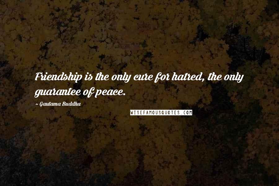 Gautama Buddha Quotes: Friendship is the only cure for hatred, the only guarantee of peace.