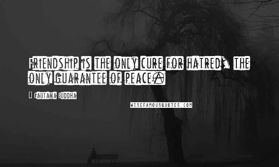 Gautama Buddha Quotes: Friendship is the only cure for hatred, the only guarantee of peace.