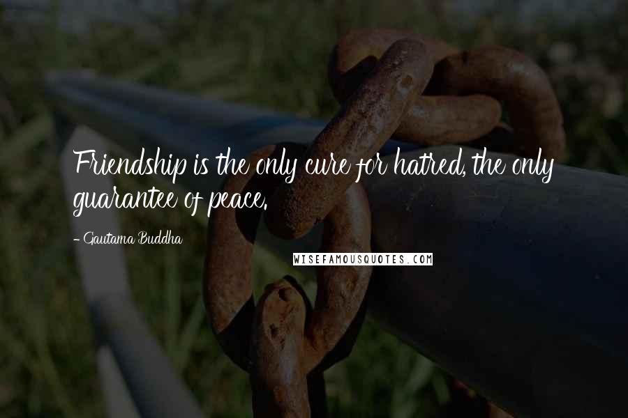 Gautama Buddha Quotes: Friendship is the only cure for hatred, the only guarantee of peace.