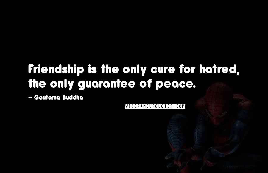 Gautama Buddha Quotes: Friendship is the only cure for hatred, the only guarantee of peace.