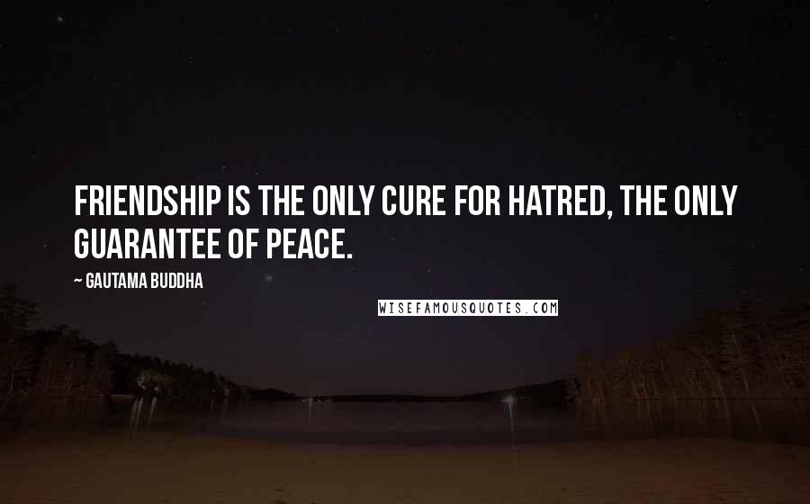 Gautama Buddha Quotes: Friendship is the only cure for hatred, the only guarantee of peace.