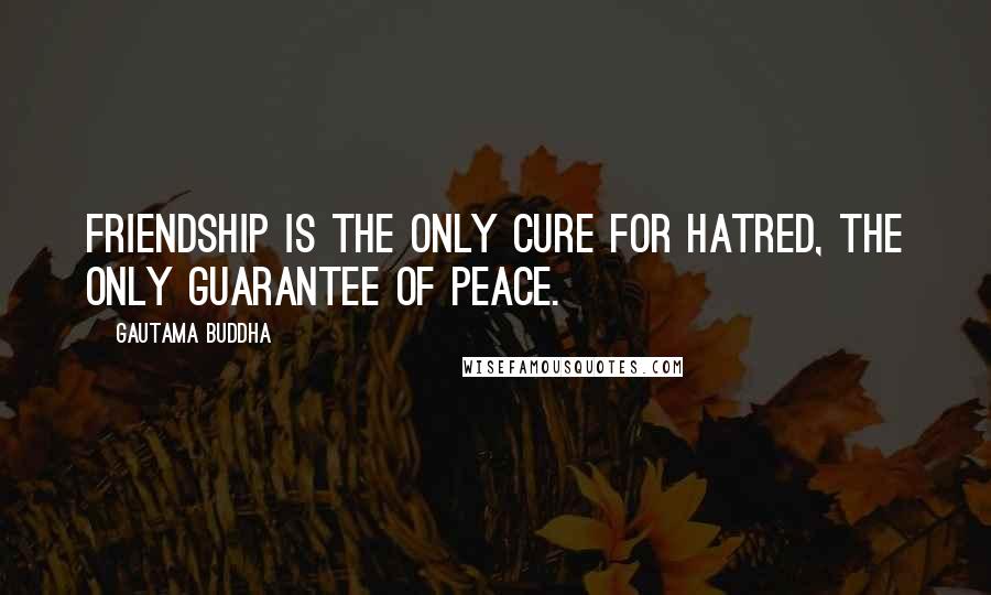 Gautama Buddha Quotes: Friendship is the only cure for hatred, the only guarantee of peace.