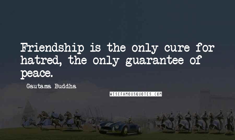 Gautama Buddha Quotes: Friendship is the only cure for hatred, the only guarantee of peace.