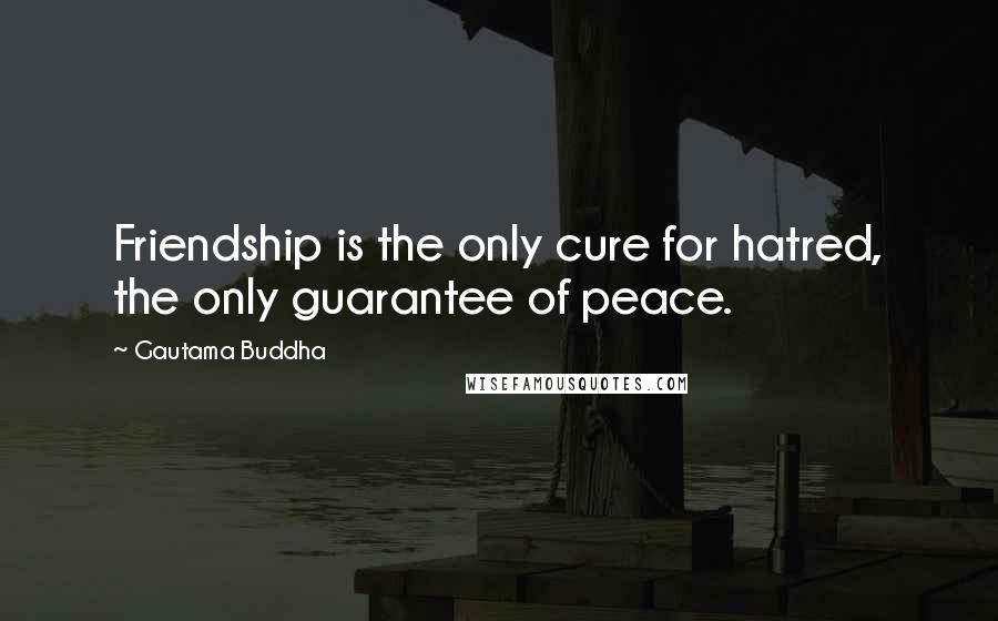 Gautama Buddha Quotes: Friendship is the only cure for hatred, the only guarantee of peace.