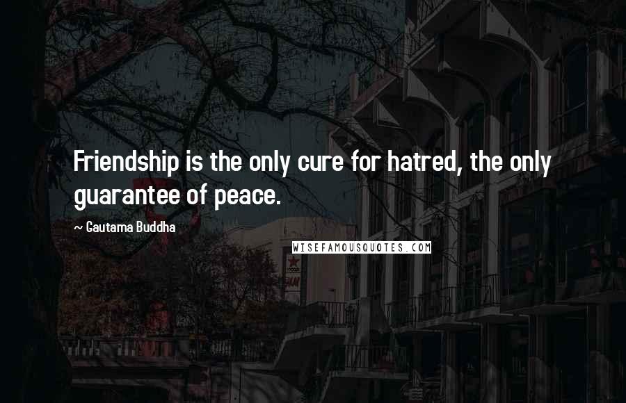 Gautama Buddha Quotes: Friendship is the only cure for hatred, the only guarantee of peace.