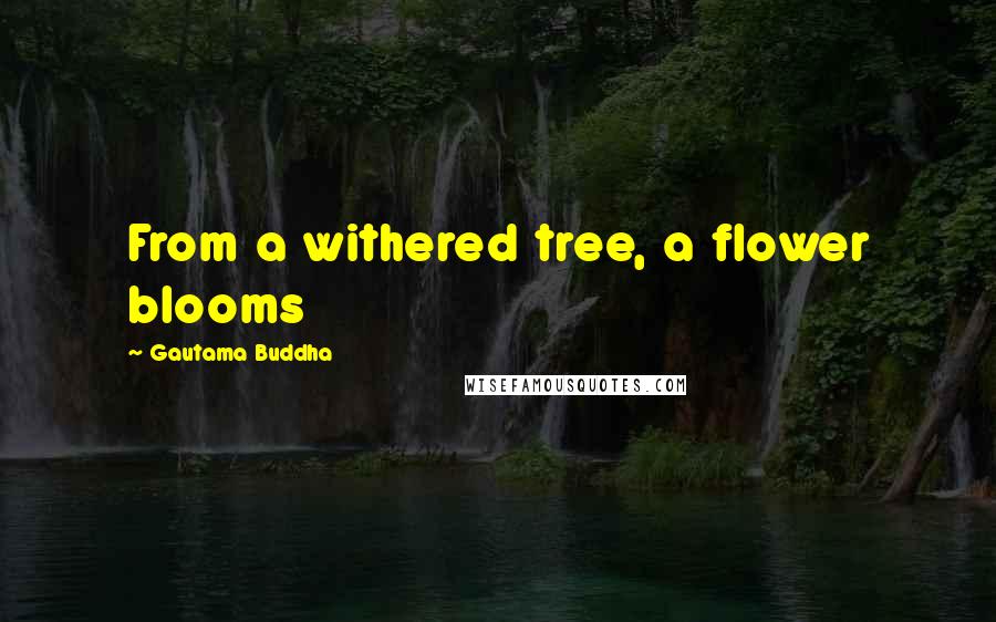 Gautama Buddha Quotes: From a withered tree, a flower blooms