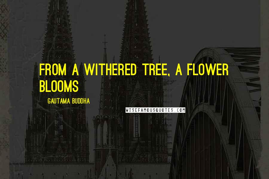 Gautama Buddha Quotes: From a withered tree, a flower blooms