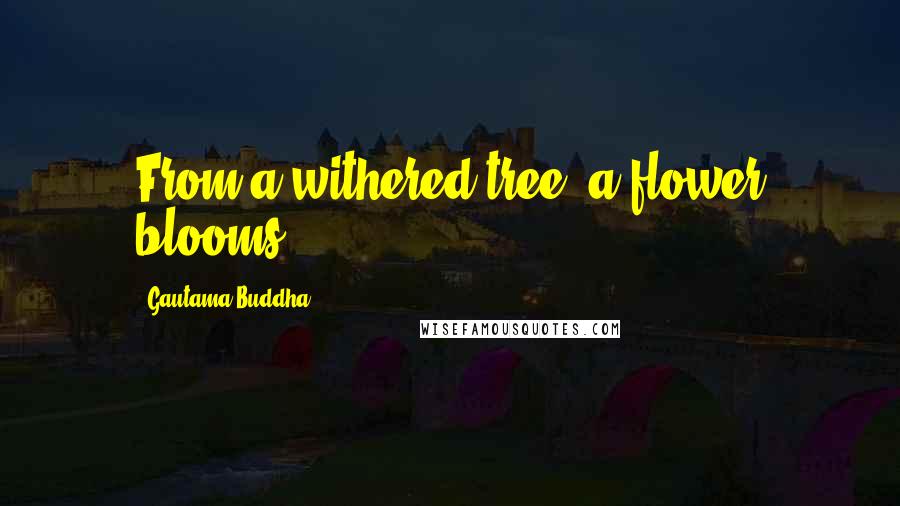 Gautama Buddha Quotes: From a withered tree, a flower blooms