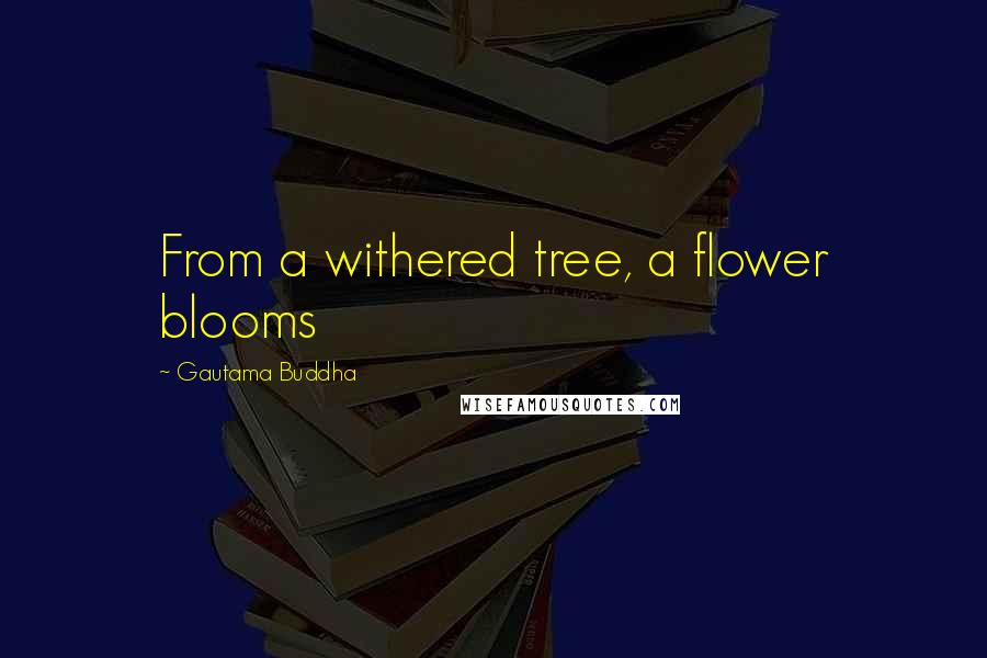 Gautama Buddha Quotes: From a withered tree, a flower blooms