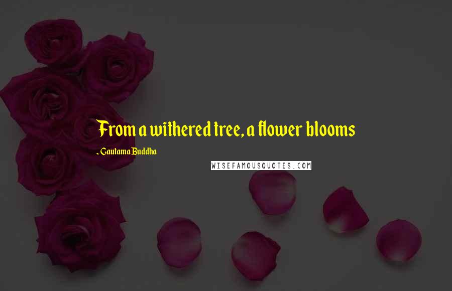 Gautama Buddha Quotes: From a withered tree, a flower blooms