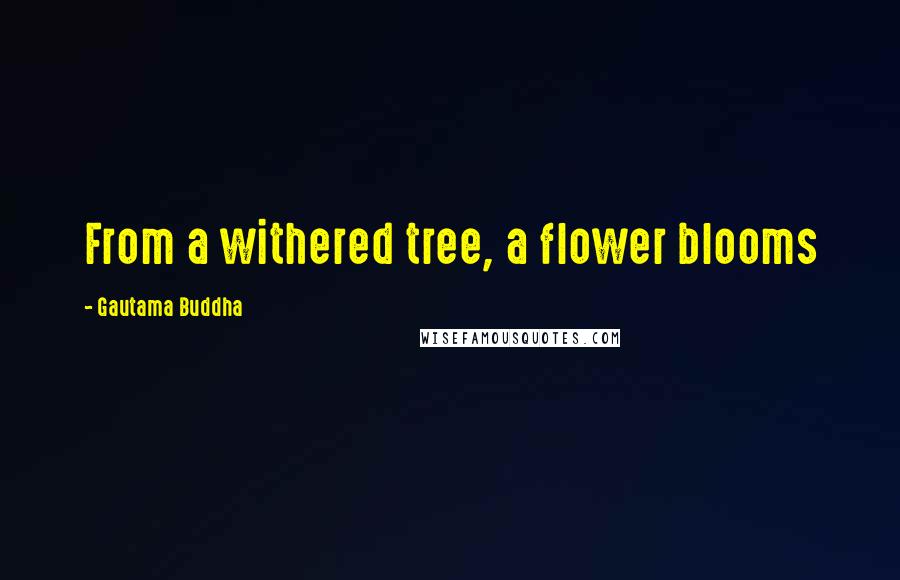 Gautama Buddha Quotes: From a withered tree, a flower blooms